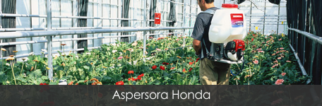 Aspersora Honda